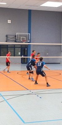 Das Beste kommt zum Saisonende - 20250329_143057_025_saved_f64c8ded30c50291b9a1215044e6de9d