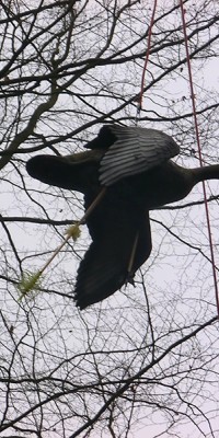 Parcour Camburg - CIMG4458_df6df03d19fc6ac480ebf9a45557d20a