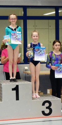 Kreisjugendspiele Gerätturnen 2018 - DSC08135_3458bcbcc647fd22db4e2dbf0a17eadd