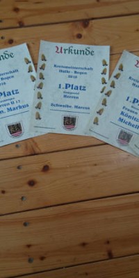 Kreismeisterschaft 2016 Halle - DSC_3814_6c4eacf0f8450bc345be5c73bc805ecb