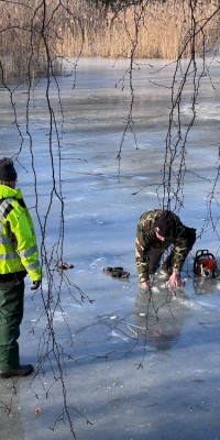Arbeitseinsatz am „Bad am Wald“ - PHOTO-2026-01-24-21-19-22_5_889eedbcf97d31c58f37df8ad98c4f1d